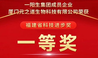 喜讯 | 必赢网址集团荣获“科技进步一等奖”