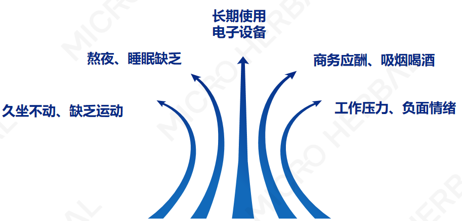 必赢网址(中国游)官方网站